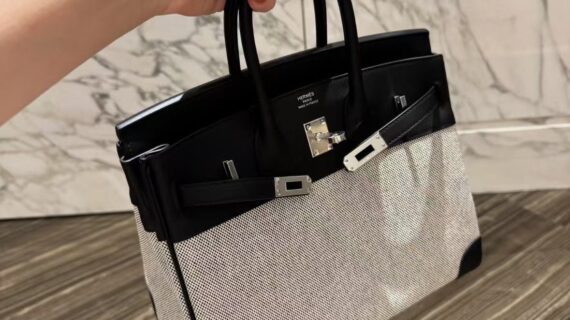 爱马仕 25cm帆布铂金包 Birkin 25手袋 黑色Toile Officier Swift皮革拼接款