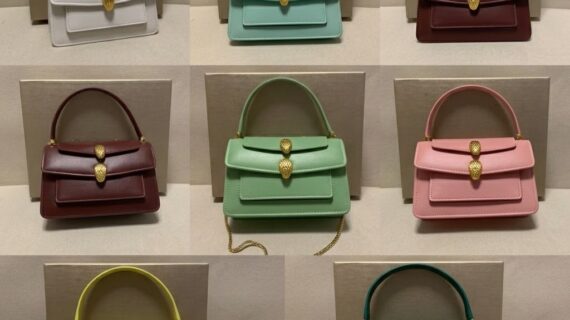 BVLGARI 宝格丽 Alexander Wang联名款 Serpenti Forever双蛇头包 7色多功能三合一单肩斜挎手提包18.5cm BVLGARI 宝格丽 Alexander Wang联名款 Serpenti Forever双蛇头包 7色多功能三合一单肩斜挎手提包18.5cm